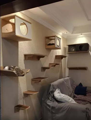 Gatil para gatos