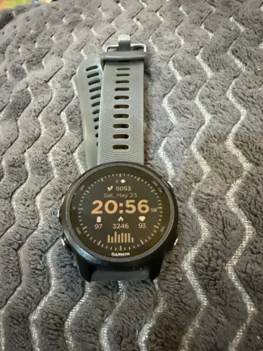 Garmin 245