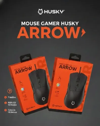 Mouse gamer