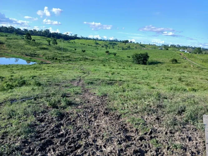 Fazenda à venda, em Feijó Acre.