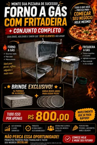 Forno de pedra refratária a gás + fritadeira a gás 