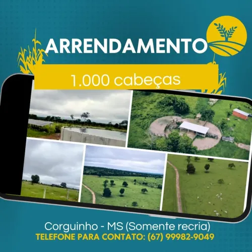 ARRENDAMENTO PECUÁRIA