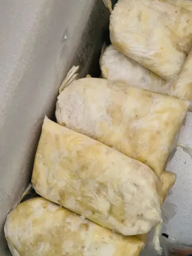 Polpa de Bacuri 