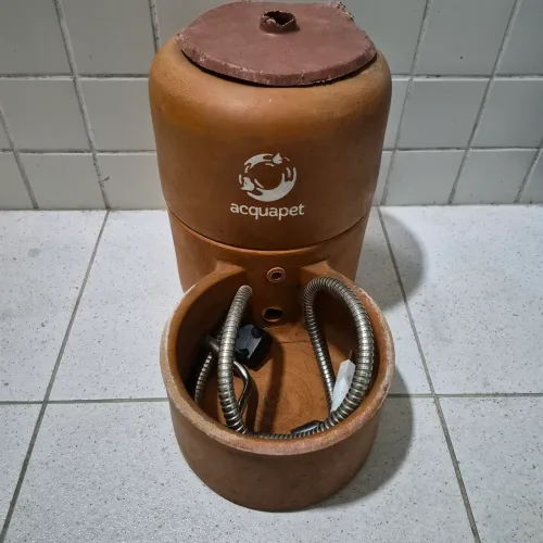 Bebedouro Filtro Fonte para Pet