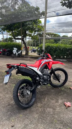 HONDA TORNADO 300l - 2026