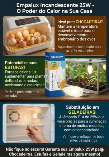 Lote 6 Lâmpadas Incandescentes Empalux 25w 127v - NOVAS