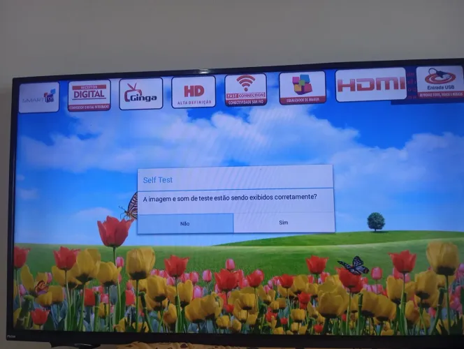 Vendo TV Philco 50 smart antiga a televisão funciona normal só não pega o aplicativo