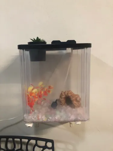 Vendo aquário para peixe dourado 