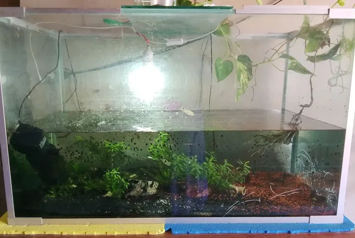 Aquário 300 litros