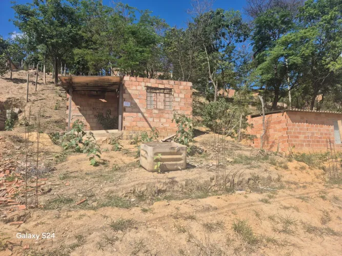 Lote