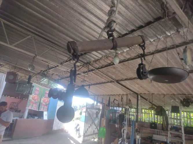 Pendure seu animal depois de morto para limpeza com roldana