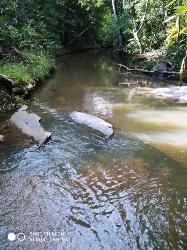 São 19 Alq 15 km de Paraíso pedida 120 mil por Alq