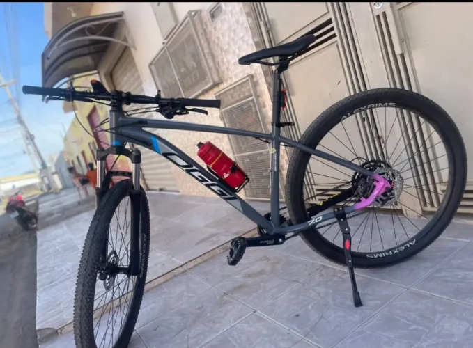 Bike Oggi 7.0 2024