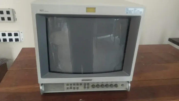 Monitor Sony PVM 1353MD - NÃO ENVIO, NÃO INSISTA