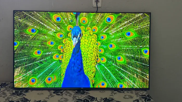 Tv 50 polegadas