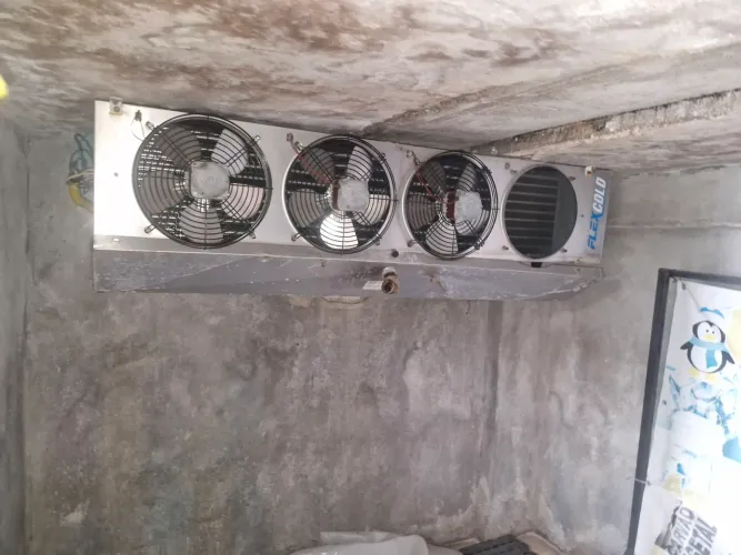 Motor para frigorífico