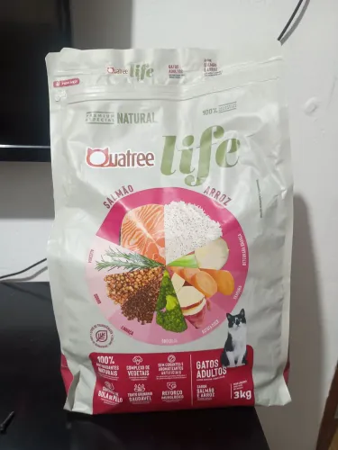 RACAO OATA GATO