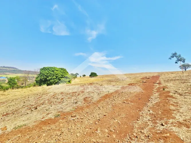 Sítio à venda na Zona Rural, próximo à Av. dos Estados - São Simão/SP.