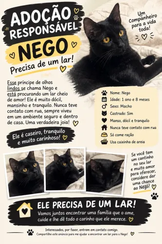 Doação responsável Gato Preto 
