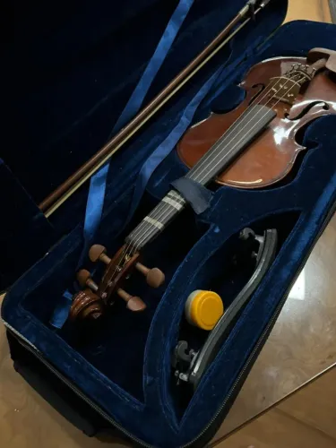 Violino Eagle VE-431 3/4 - ref 5