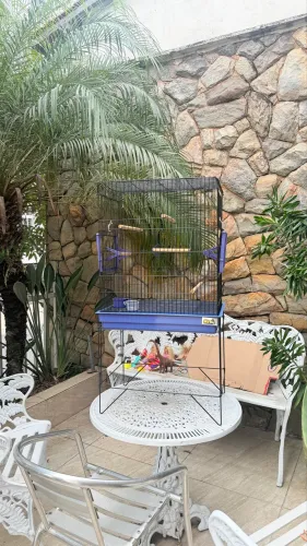 Gaiola grande seminova