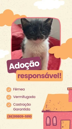 Adoção responsável
