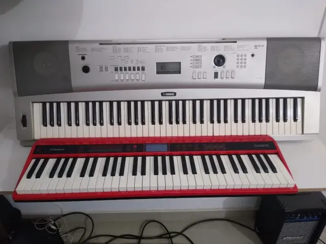 Roland GO:KEYS + Yamaha YPG-225 - Vendo Juntos ou Separados