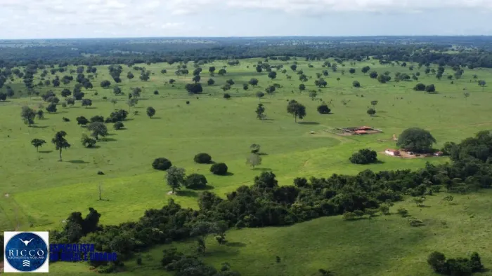 Fazenda à venda em Araguaçu TO | 940 alqueires | Estrutura completa