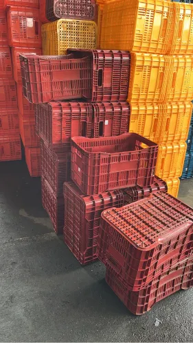 Caixas plásticas padrão Ceasa sem uso