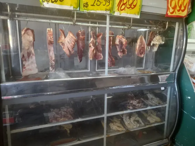 Freezer expositor