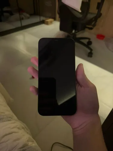 iPhone 12 PRO MAX 256gb