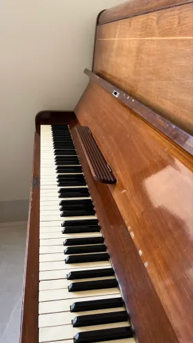 Piano teclas de Marfim