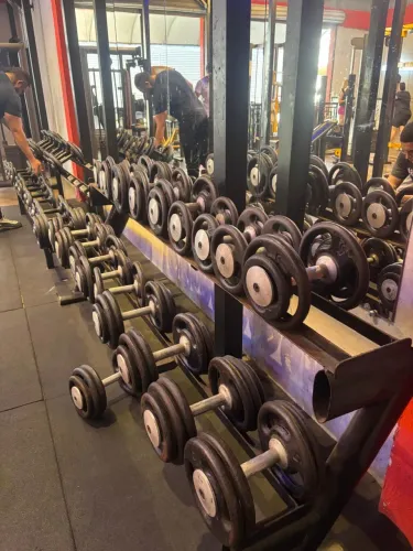 Halteres (DUMBELLS) com suporte