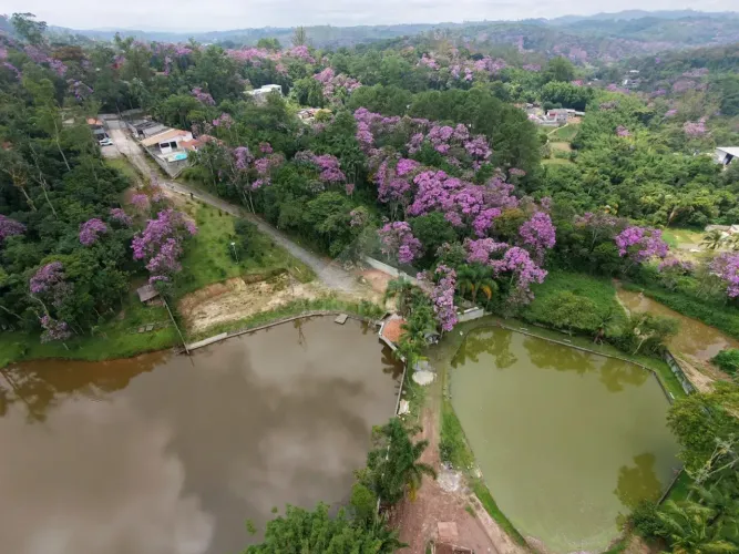 Chácara à venda, Santa Luzia, Ribeirão Pires, SP