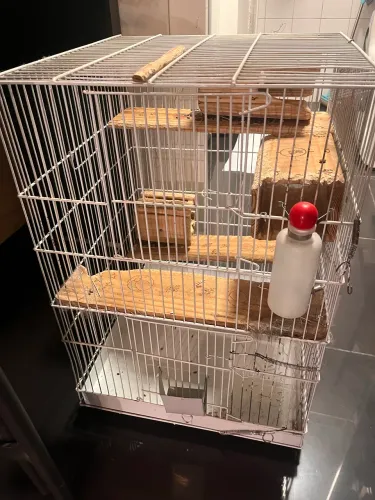 Gaiola para pets