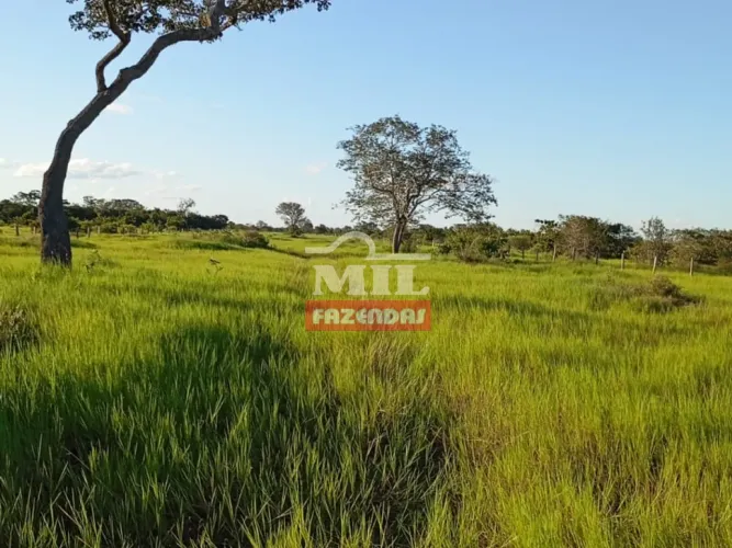 Fazenda 5.300 Hectares em Cocalinho - MT