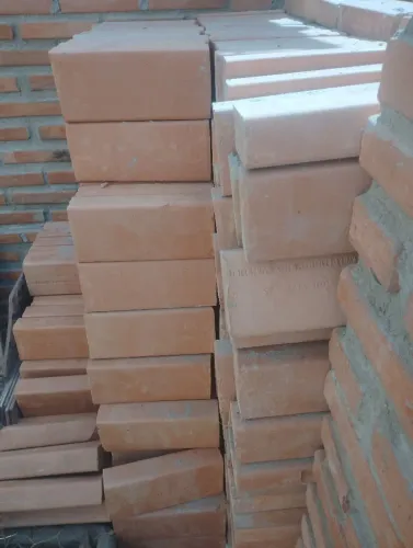 Tojolinhos laminados