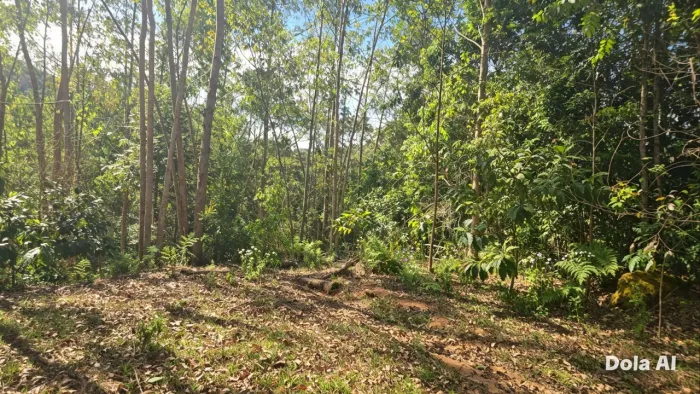 SÍTIOS ALTO TIJUCO PRETO - DOMINGOS MARTINS/ES, PARTIR 1.200m2, PARCELO, TROCO, LUS-ÁGUA <br>