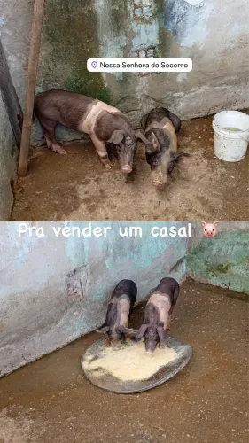 Vende-se 