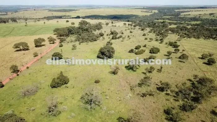 R$ 180.000,00 por alqueire - Região Uberlândia