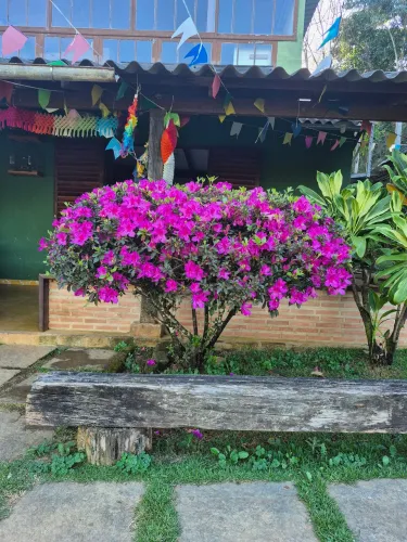 Preciso de uma pessoa para limpeza e manutenção de quintal