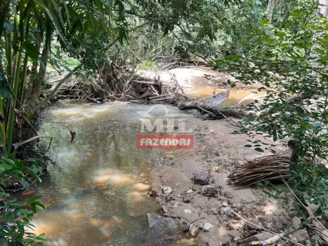 Fazenda 23 Alqueires (111,32 Hectares) Itapirapuã - GO