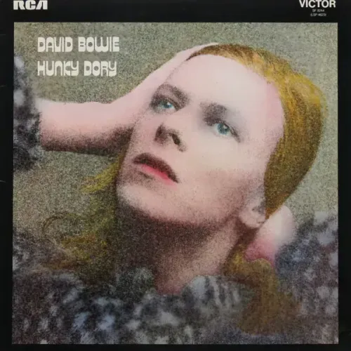 LP VINIL DAVID BOWIE HUNKY DORY LACRADO IMPORTADO