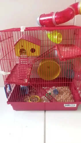 Casinha de hamster
