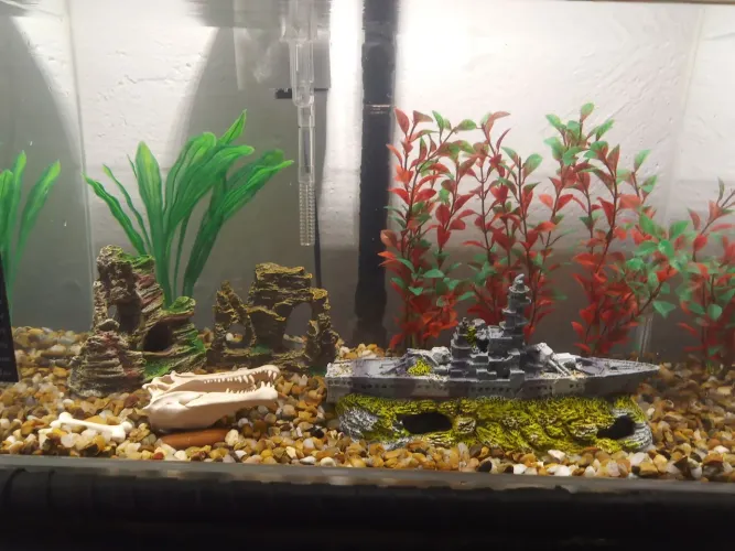 Aquário completo de 28 litros 