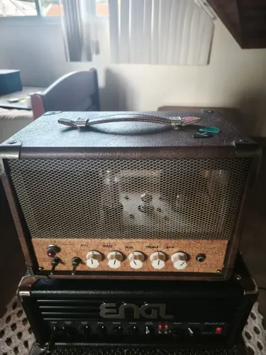 Amplificador Valvulado 10w Gato Preto Classics Vira Lata