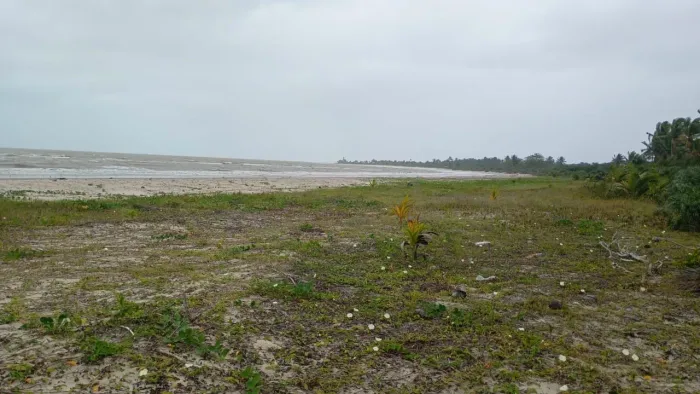 Vendo Terreno em Santa Cruz - Cabralia BA