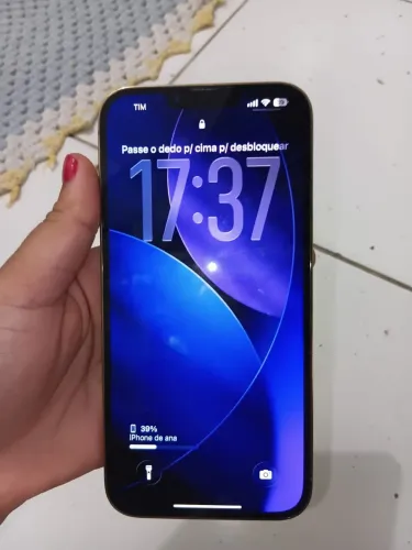 13 pro max