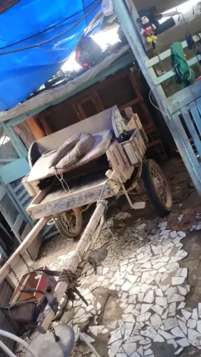 Carroça para venda