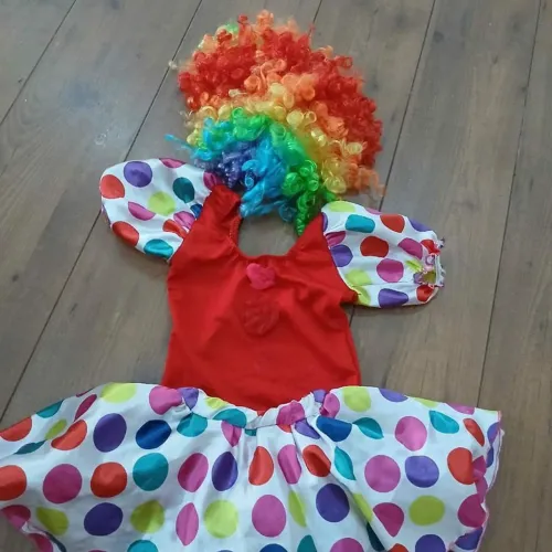Fantasia de Palhaço Infantil Completa com Peruca Colorida - Estado de Nova!
